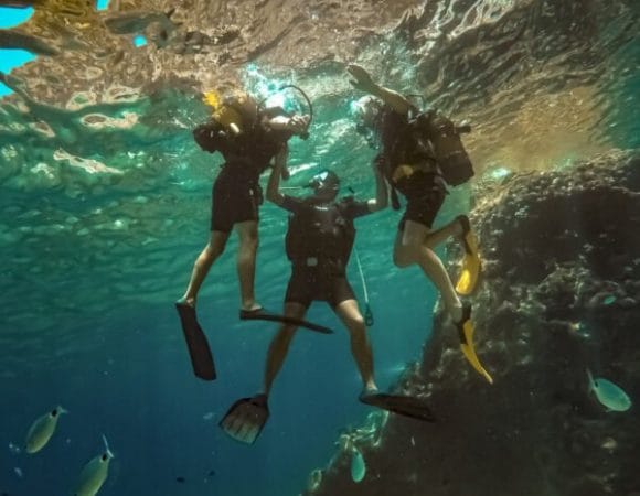 Подводное плавание с аквалангом в Анталии