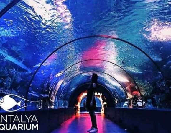 Antalya Aquarium Tour