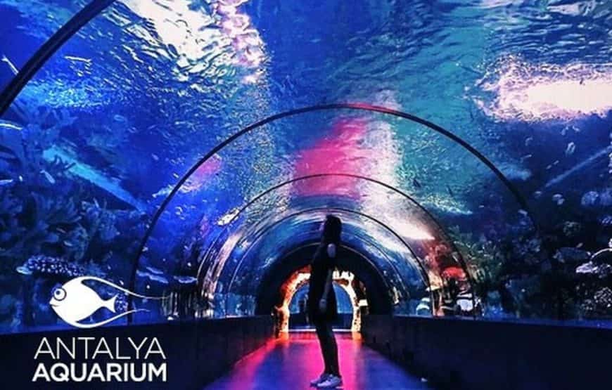 Antalya Aquarium Tour