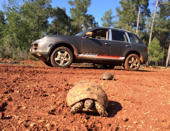 Porsche Safari Tour