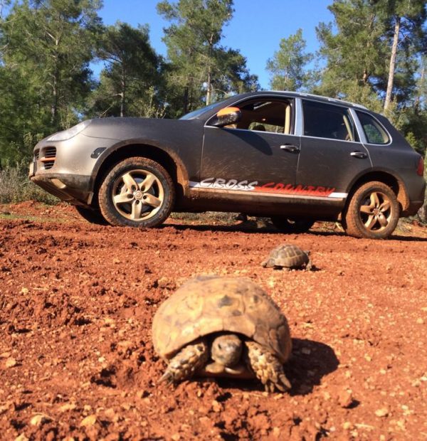 Porsche Safari Tour in Antalya