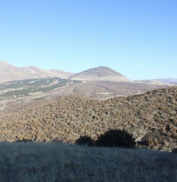 Hunting Tours Turkey